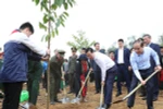 Chủ tịch nước: "Mỗi cây được trồng là món quà vô giá gửi đến tương lai"