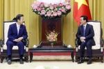Việt Nam và Nhật Bản phối hợp chặt chẽ vì hòa bình thịnh vượng chung