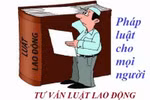 Cắt phăng hợp đồng giáo viên, nhân văn và đạo lý ở đâu? 