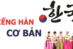 Thí điểm đưa tiếng Hàn thành ngoại ngữ 1 là việc làm vội vàng