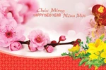 Chào xuân Đinh Dậu