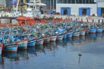 Xử lý nghiêm các tàu cá vi phạm khai thác hải sản
