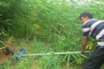 Sáng chế chiếc máy nhổ sắn cầm tay của cậu học trò lớp 9