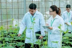 Tốt nghiệp ngành Nông nghiệp công nghệ cao có thể làm những công việc gì?