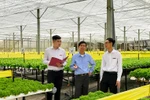 Agribank điều chỉnh giảm lãi suất đối với toàn bộ dư nợ hiện hữu của khách hàng 