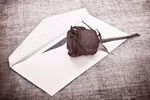 Hoa hồng suất ăn bán trú… không thơm đâu