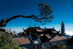 Từ cáp treo đến… những loài hoa trên núi