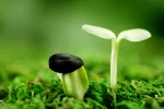 Những tiếng nói sống còn thời đại...kim tiền