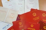 Chuyện ông nọ, bà kia và tản mạn về bằng thật, bằng giả!