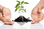 Giáo dục, góc nhìn qua lăng kính “đột phá” (phần cuối) 