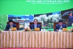 Thủ tướng: Thực hiện Nghị quyết 11 cần linh hoạt, hiệu quả