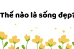 Góc nhìn của học sinh lớp 10 THPT Bảo Lâm về "Sống Đẹp"