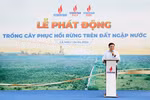 Petrovietnam phát động trồng cây phục hồi rừng trên đất ngập nước