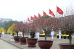Trọn niềm tin yêu và tự hào về Đảng
