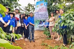 Thầy giáo thắp lửa đưa tri thức xanh vào công tác tình nguyện 