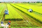 Bỏ quy hoạch sản phẩm nông nghiệp là bước tiến rất lớn