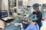 Vinmec công bố nghiên cứu đột phá về giảm đau trong mổ tim hở trẻ em 