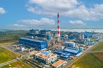 NMNĐ Sông Hậu 1: Điểm sáng trong xây dựng công nghiệp năng lượng tự chủ quốc gia