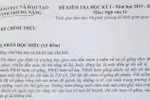Đề kiểm tra Ngữ văn ở Đà Nẵng có đáng tranh cãi?