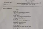 Hàng loạt đề thi Ngữ văn ra trùng đề khiến giáo viên ngao ngán
