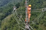 Hoàn thành sớm dự án thay thế cách điện đường dây 500kV Sơn La - Hòa Bình