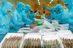 Chính phủ thống nhất giảm tiền điện cho 3 nhóm doanh nghiệp khó khăn do COVID-19