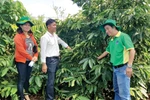 Áp thuế GTGT phân bón 5% lợi ích thiết thực cho nông nghiệp, nông dân