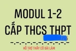 Giáo viên học thuê, làm bài thu hoạch thuê các module, nghề mới hái ra tiền