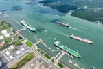 Fitch Ratings: Petrovietnam có sức ảnh hưởng mạnh mẽ tới sự phát triển KTXH ở VN