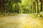 “Chất keo” gắn kết, “chữa lành” cuộc sống tại Ecopark