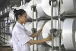 Nỗ lực không ngừng nghỉ để vận hành trở lại Nhà máy xơ sợi Đình Vũ