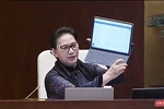 Đi tìm… tiếng Việt