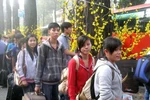 Lương ít, tiền không có, thêm một mùa xuân con không về…