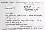 Một đề thi học sinh giỏi Ngữ văn kì lạ!