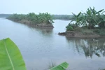 Từ vụ Hải Phòng: Kết luận của Thủ tướng và bài học cho các địa phương