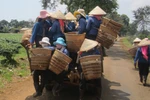 Muôn kiểu quá tải, 'quá liều' và thiếu ý thức giao thông VN (P18)
