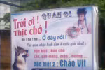 Ảnh cực 'độc' do độc giả sưu tầm chỉ có ở Việt Nam (28)