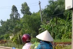 Muôn kiểu quá tải, 'quá liều' và thiếu ý thức giao thông ở VN (P23)