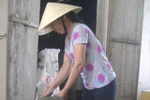 Thu nhập 'khủng': Săn cào cào, mỗi ngày kiếm 300 nghìn đồng/người