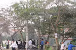 Nghệ An: Phát hiện xác nam nhân viên kế toán trên cành cây