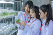 Theo học Công nghệ sinh học tại HPU2, sinh viên được lựa chọn 4 hướng ứng dụng chuyên sâu