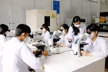 Cần có chuẩn chương trình đào tạo nghiên cứu sinh xuất sắc trước khi hỗ trợ 1 tỷ đồng/người/năm