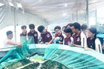 Để đào tạo nghề trong trường phổ thông cần giải bài toán cơ sở vật chất và đội ngũ GV