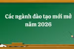 Năm 2026 nhiều CSGDĐH mở thêm ngành mới, chủ yếu thuộc nhóm công nghệ - kỹ thuật