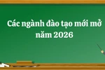 Năm 2026 nhiều CSGDĐH mở thêm ngành mới, chủ yếu thuộc nhóm công nghệ - kỹ thuật
