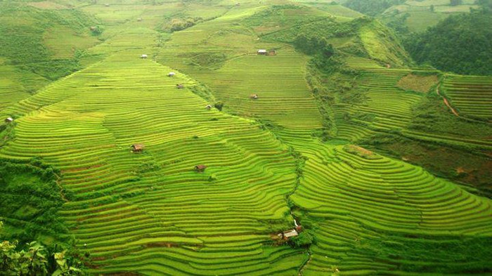 Những nương ruộng bậc thang ở miền núi phía Tây Thanh Hóa Những nương ruộng bậc thang ở miền núi phía Tây Thanh Hóa