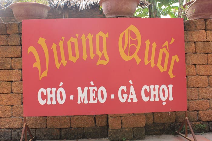 Vương quốc độc đáo dành cho chó mèo (Ảnh: Hoàng Long)