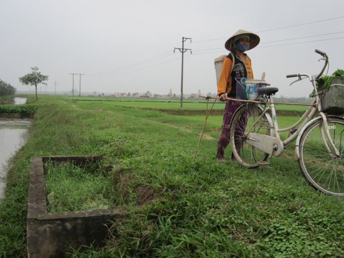 Từ khi có bể chứa rác thải nông nghiệp, cánh đồng tại thôn 4 sạch đẹp hơn hẳn (ảnh: Lê Miền) Từ khi có bể chứa rác thải nông nghiệp, cánh đồng tại thôn 4 sạch đẹp hơn hẳn (ảnh: Lê Miền)
