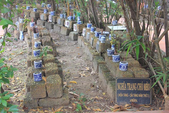 Nghĩa trang dành cho chó mèo (Ảnh: Hoàng Long)