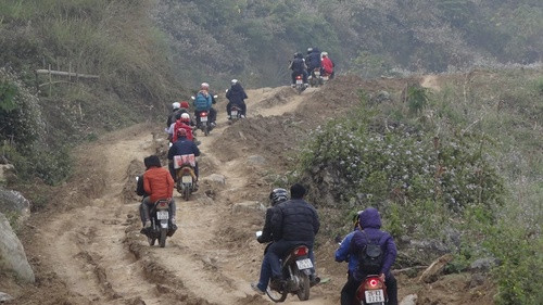 Con đường tới trường Con đường tới trường